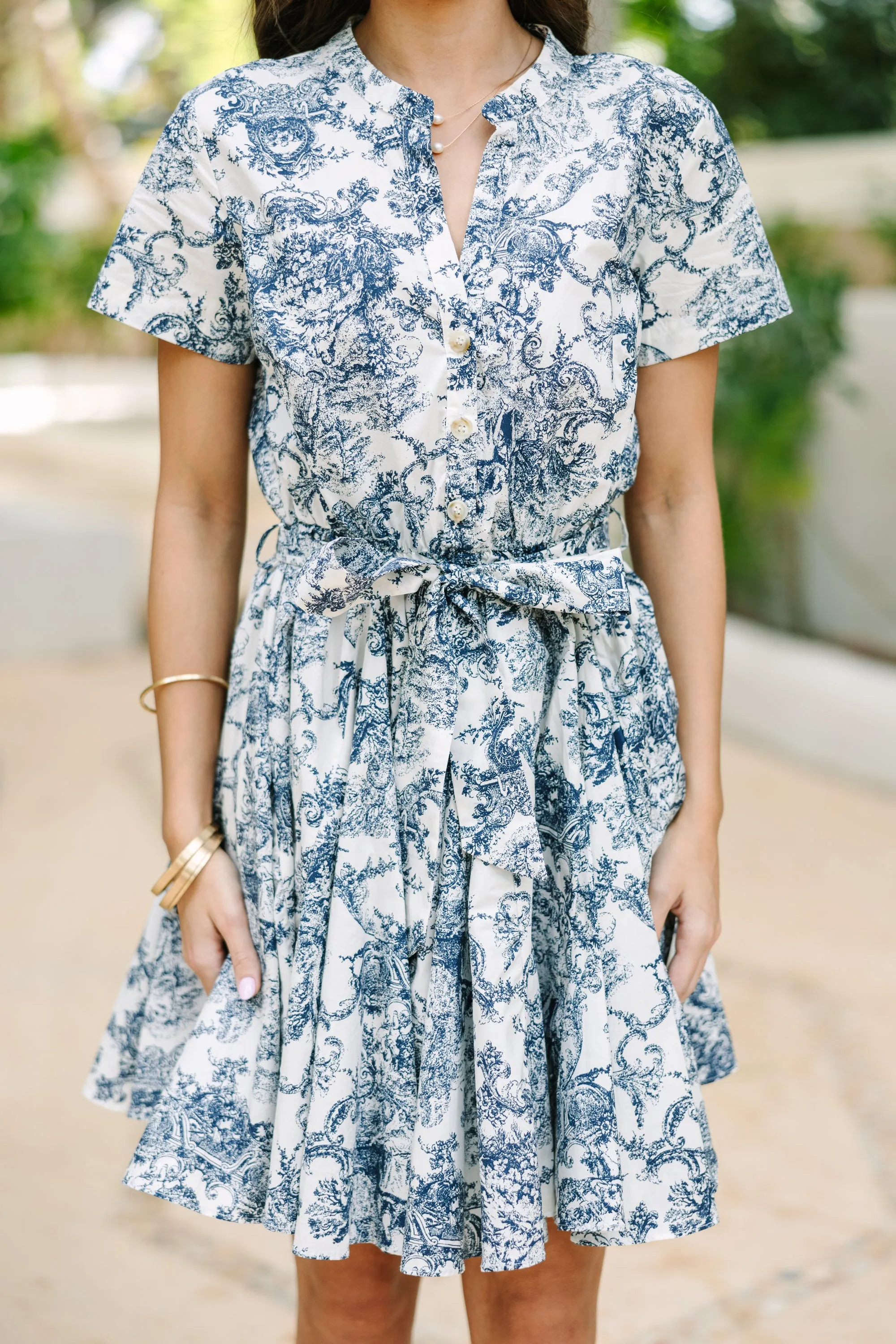 Here To Stay Navy Blue Toile Print Dress